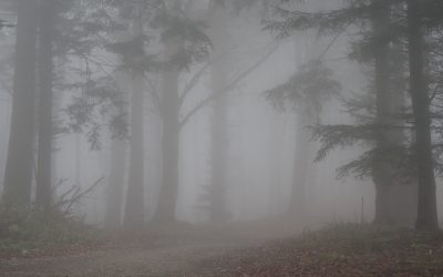 San i java na obroncima Ivanščice