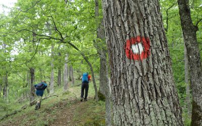 Pregled izleta održanih u 2020. godini