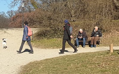 Maksimir, 9. veljače