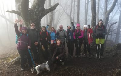 Strahinjčica, 19. veljače