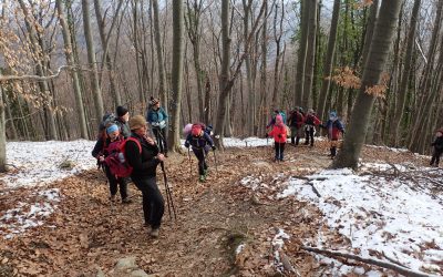 Lipa – Tepčina špica – Lipa, 8. siječnja