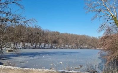 Pauza, 17.-23. siječnja