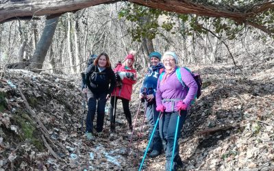 Čučerje – Lipa, 29. siječnja