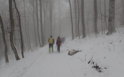 Oštrc, Japetić, 27. veljače