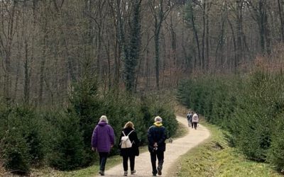 Maksimir, 16. ožujka